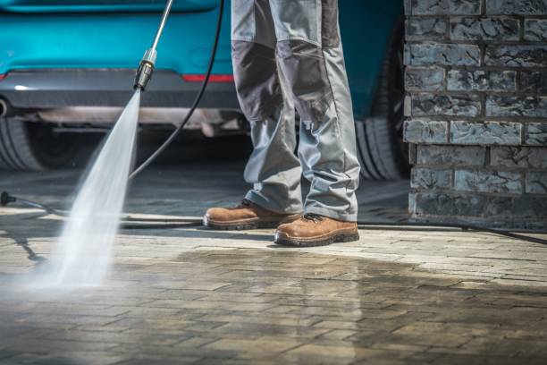 Best Concrete Surface Cleaning in Palacios, TX